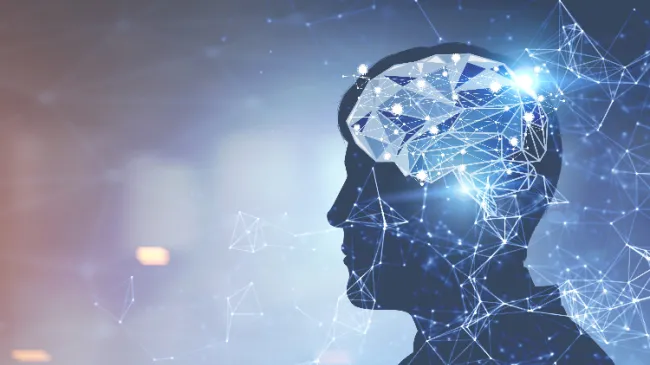 human side profile with brain
